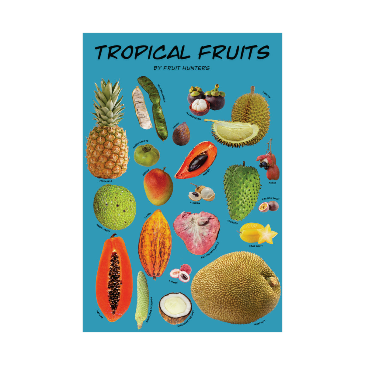 Tropical Fruits Matte Vertical Posters Fruit Hunters
