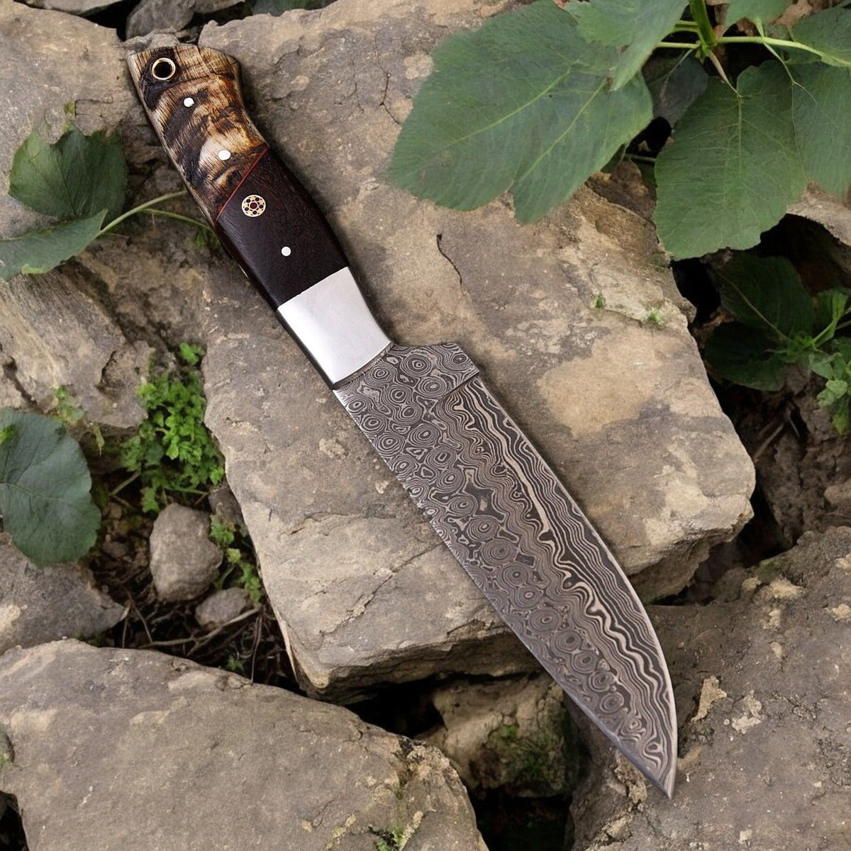 Premium Damascus Steel Hunting Knife with Sheep Horn Handle main image 1