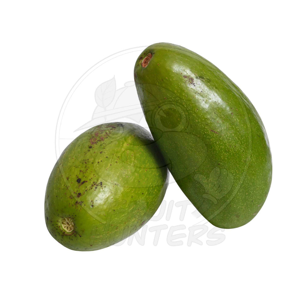 PRE-ORDER Avocado
