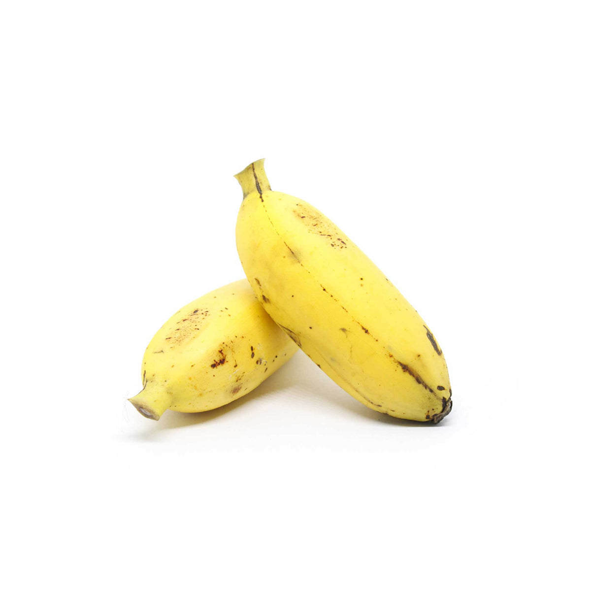 Burro Bananas — Melissas Produce