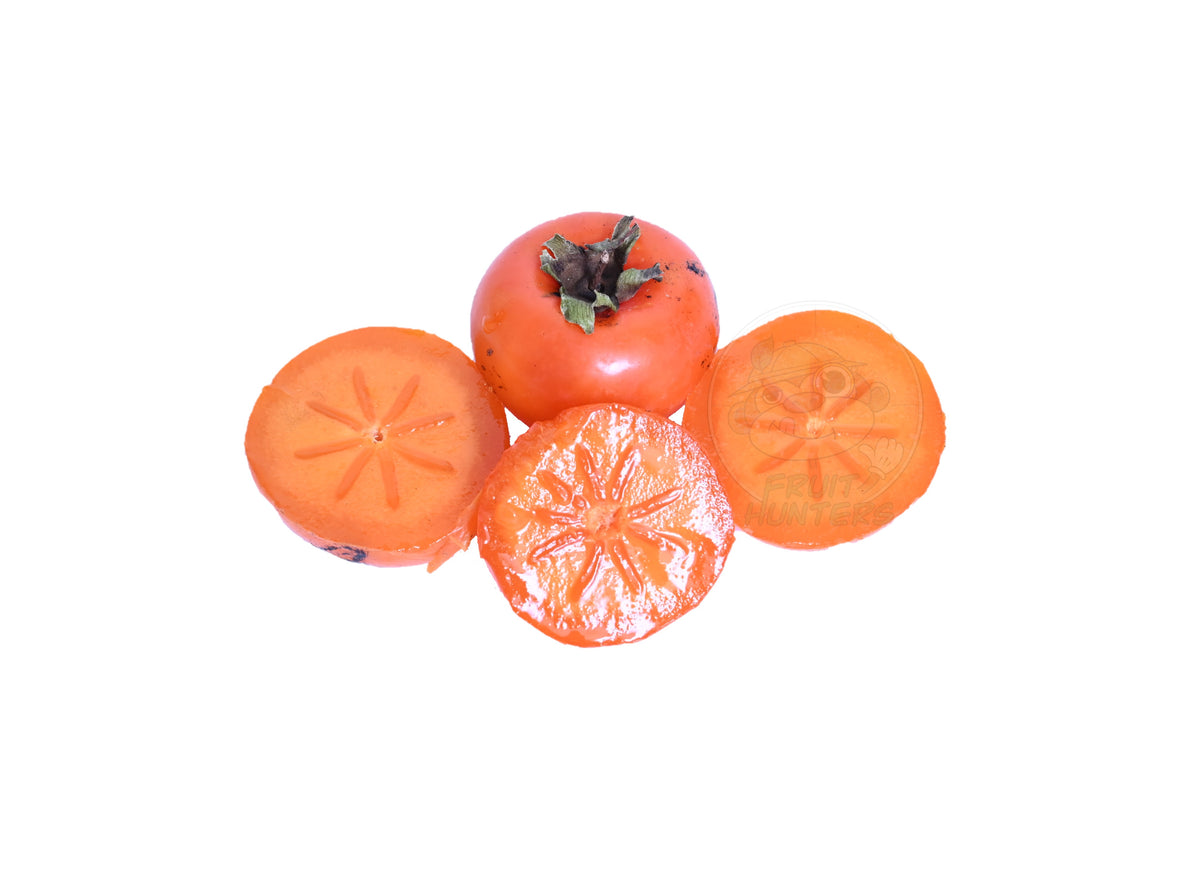 PREORDER Tropical Persimmon Fruit Hunters