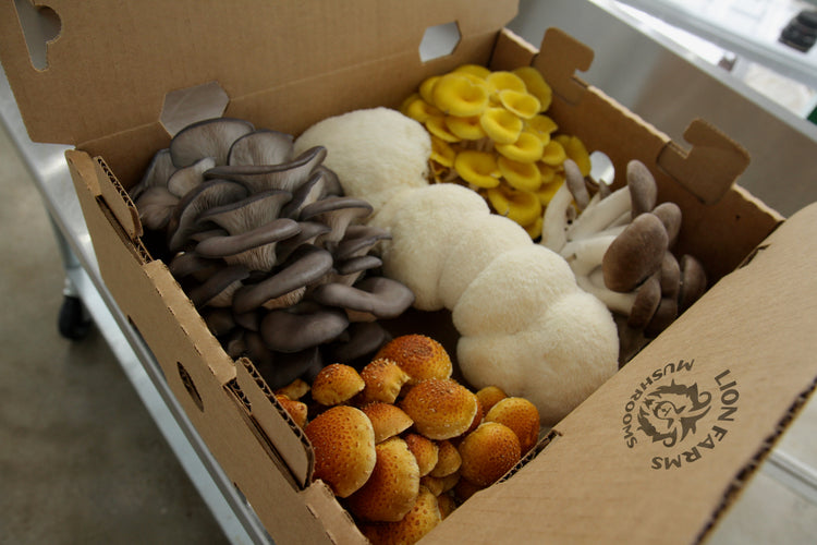 Fresh Gourmet Mushrooms
