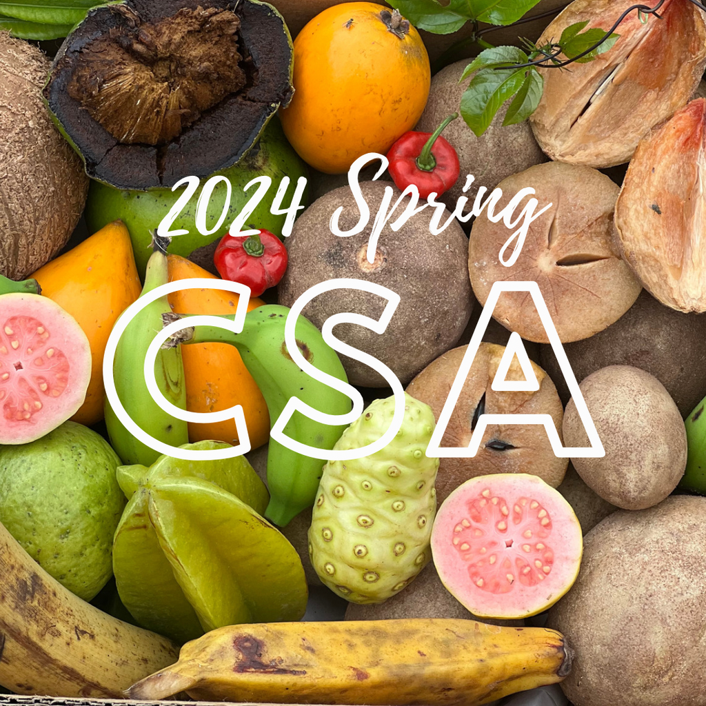 CSA Spring Season