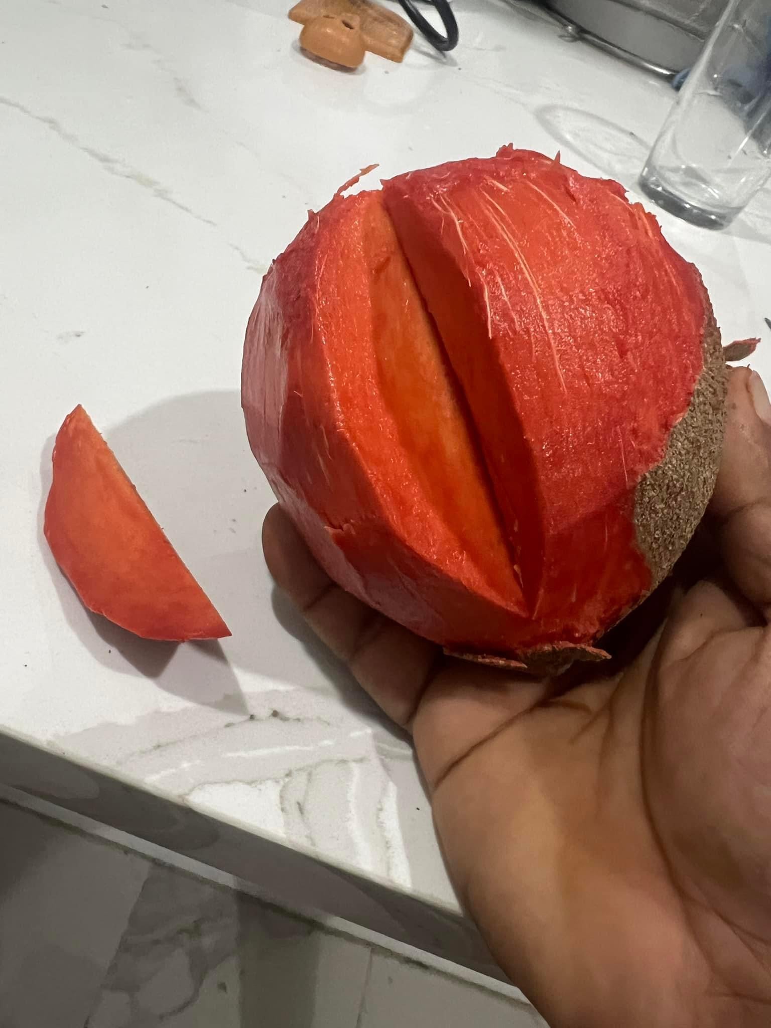 Grafted Mamey Sapote 1 Gallon