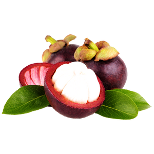 Freeze-Dried Mangosteen