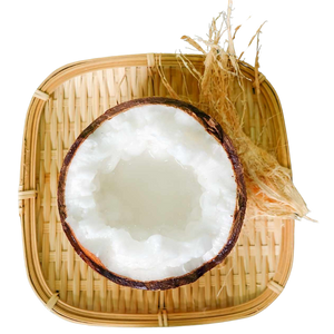Freeze-Dried Macapuno Coconut Chips
