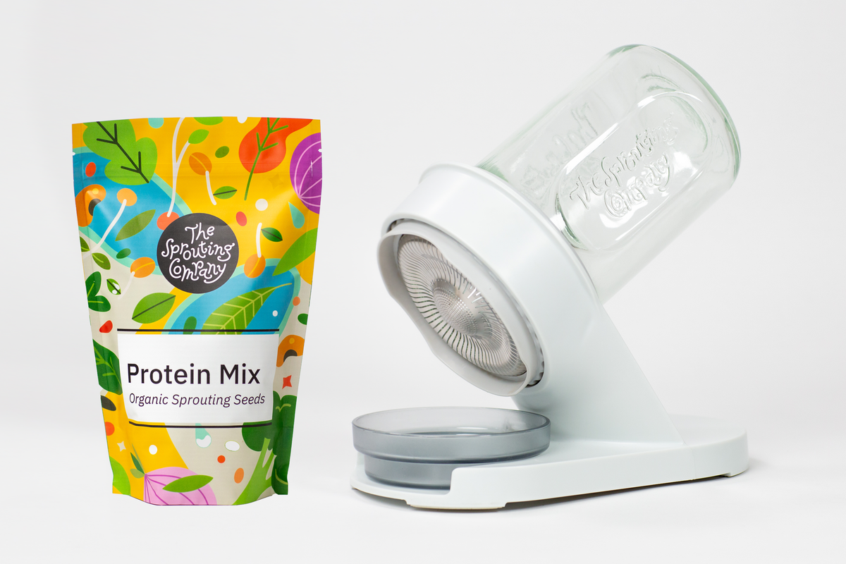 Starter Bundle: Protein Mix