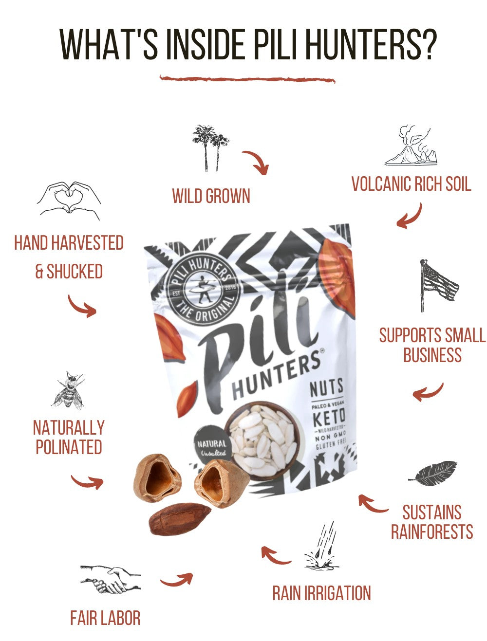 6-pack Pili Hunters™ Nut Variety FREE SHIPPING!