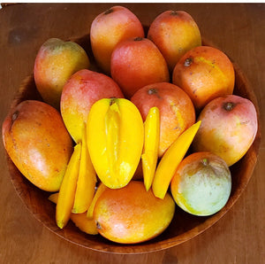 *Grafted MANGO TREE 1 GALLON (70+ VARIETIES WOW!)