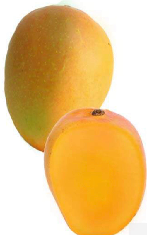 *Grafted MANGO TREE 1 GALLON (70+ VARIETIES WOW!)