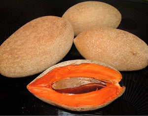 Grafted Mamey Sapote 1 Gallon