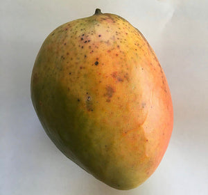 *Grafted MANGO TREE 1 GALLON (70+ VARIETIES WOW!)