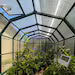Live-Plants-for-You