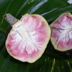 PREORDER 2025 Red Custard Apple