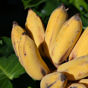Nam Wah Bananas