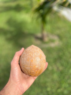 Sapodilla