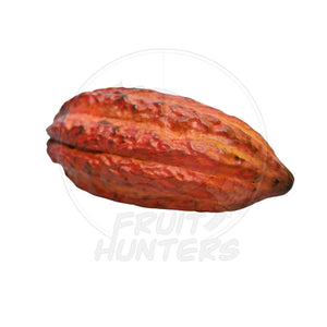 Fresh Cacao