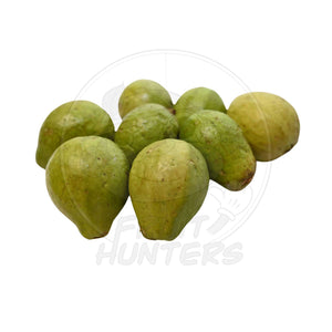 PRE-ORDER Red Guava