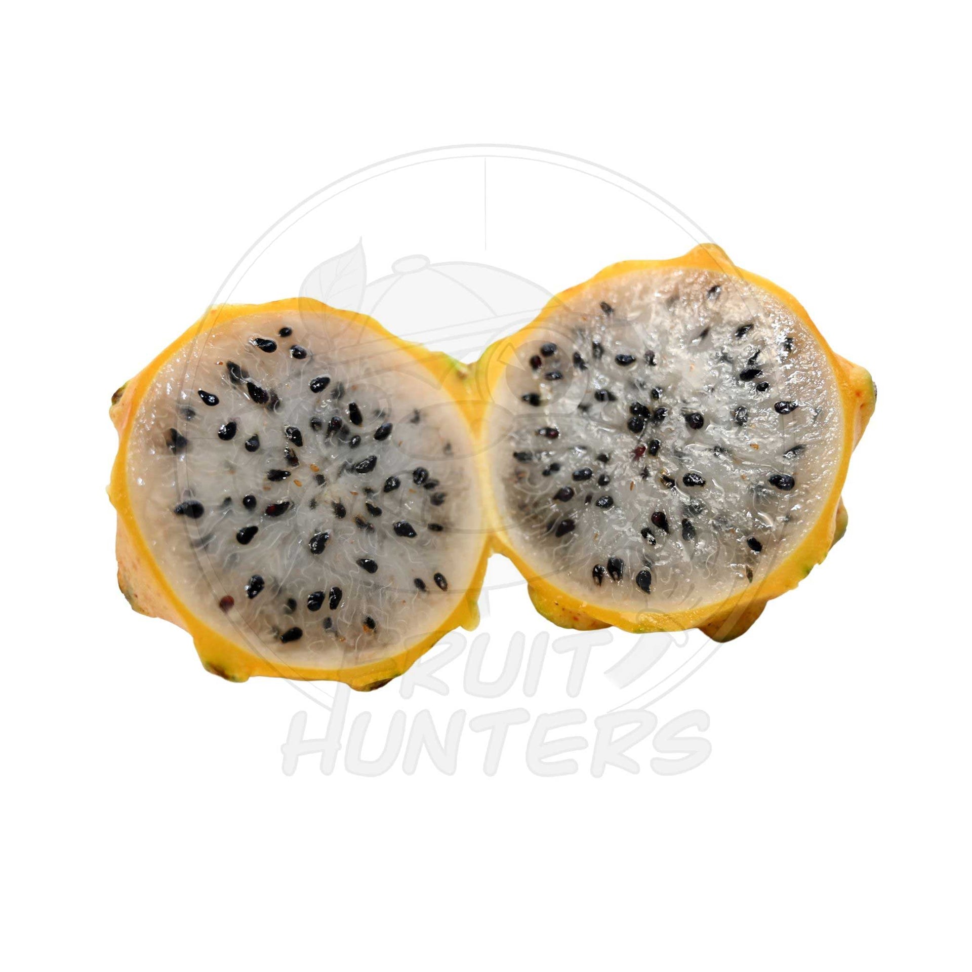 monstera deliciosa fruit buy online Pre Order * Monstera Deliciosa – Fruit Hunters