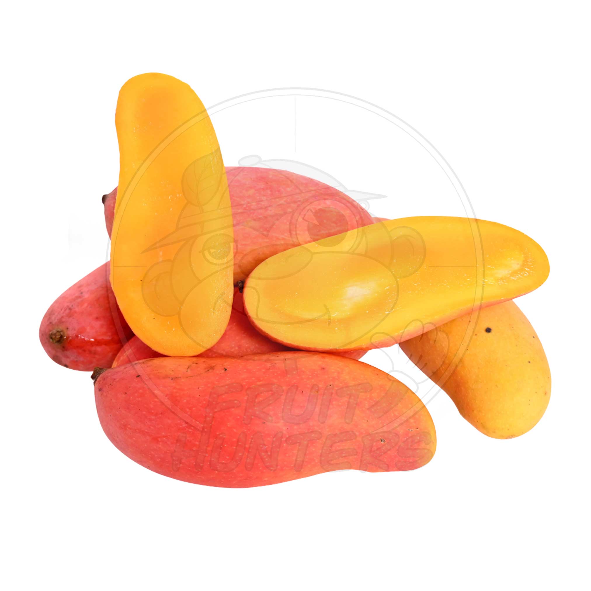 PREORDER 2025 Florida Mango Fruit Hunters