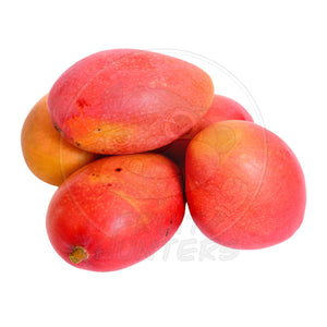 PRE- ORDER Florida Mango