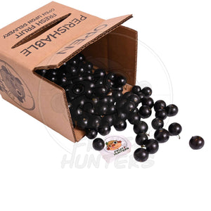 PRE-ORDER Jaboticaba