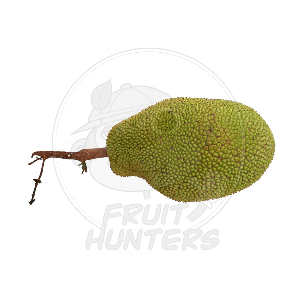 Jackfruit (Yaca)