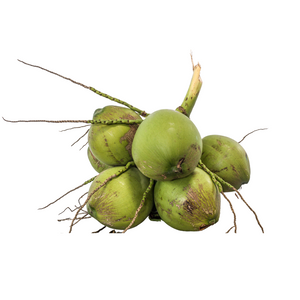 Coconuts