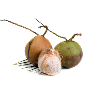 Coconuts