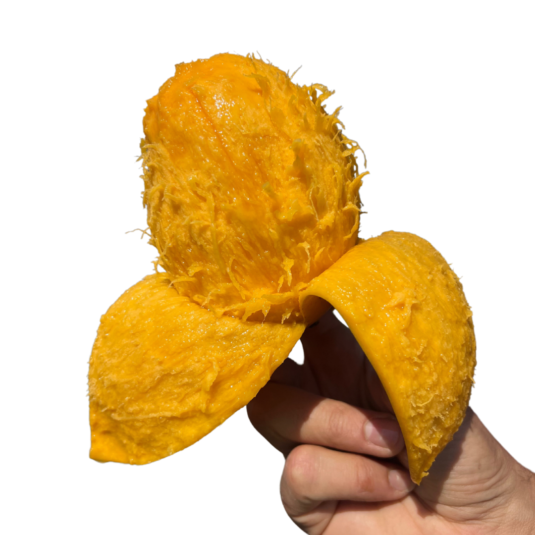 PREORDER Mingolo Mango Fruit Hunters