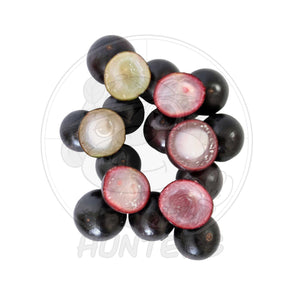 Jaboticaba 