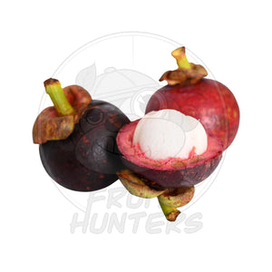 Mangosteen 